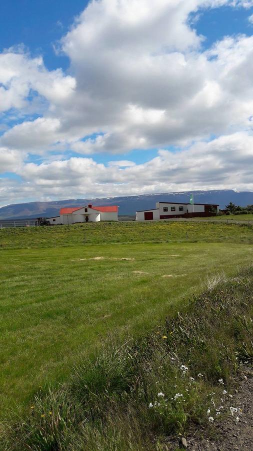 Glaesibaer Bed & Breakfast Reynistadur Dış mekan fotoğraf