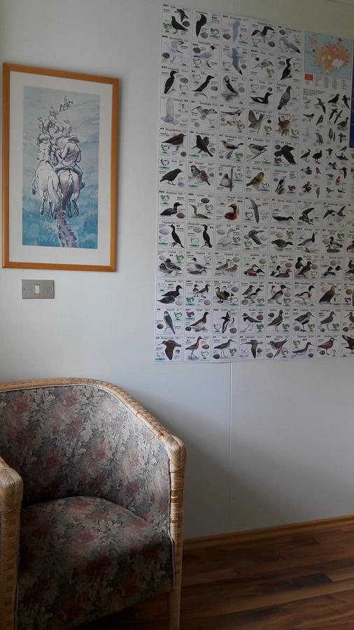 Glaesibaer Bed & Breakfast Reynistadur Dış mekan fotoğraf